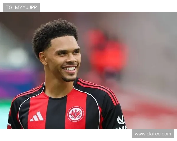 德甲球队在组建人员方面的标准和规范