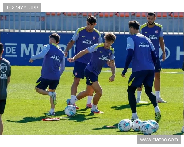 法甲历史上的经典瞬间回顾与解读